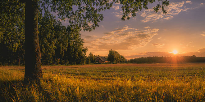 Яндекс.Картинки