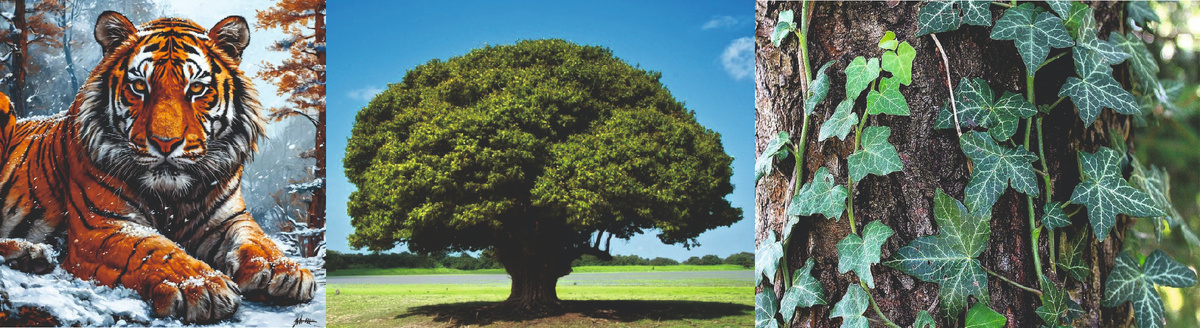 Земляной Тигр- Февраль 2025 у Дерева Ян и Дерева Инь.