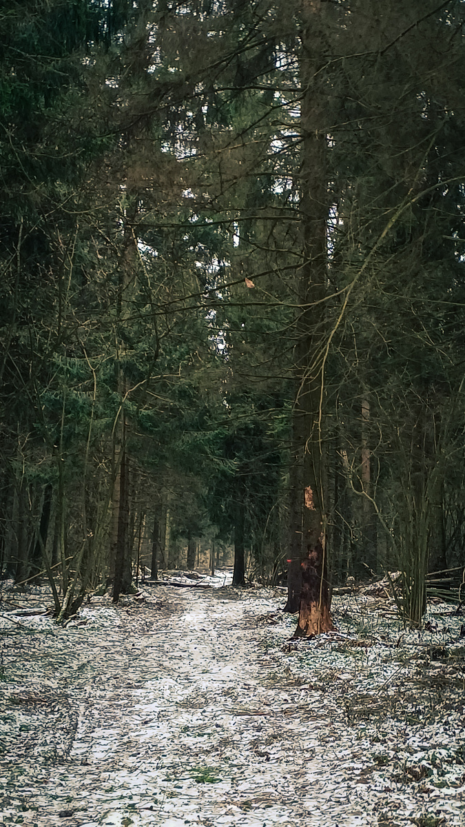 (Фото-Галина Терлецкая)