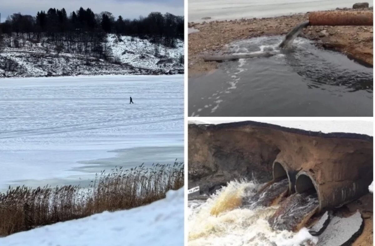    Канализация – в Волгу.