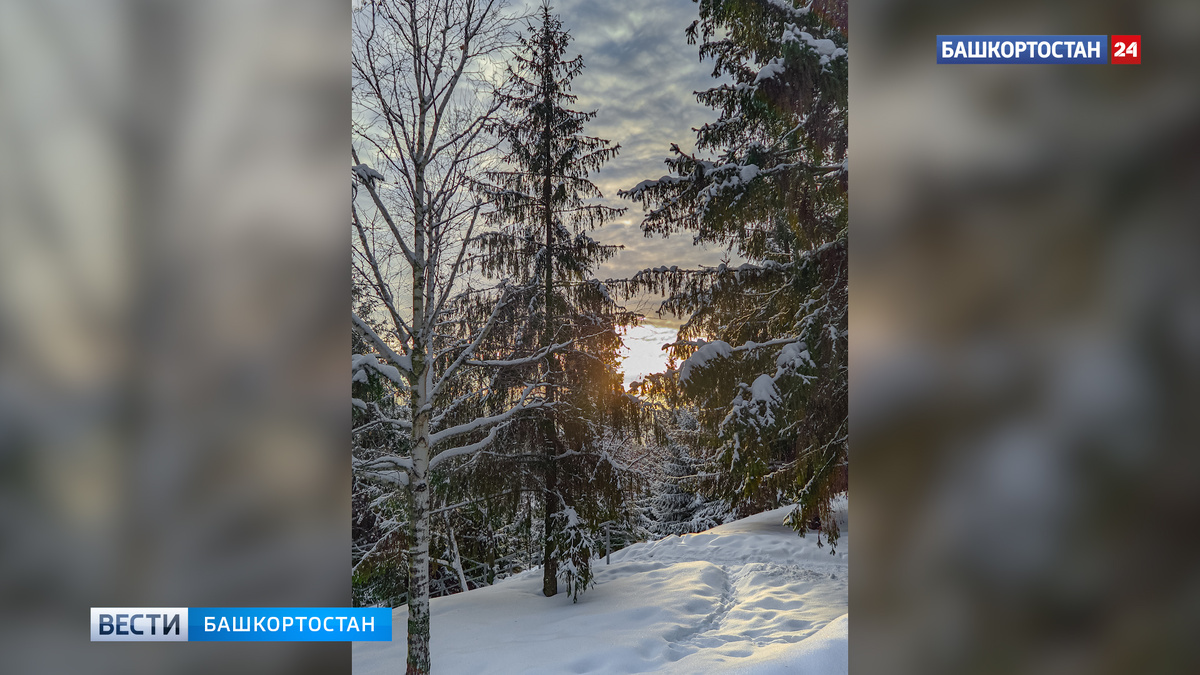    Небольшой снег, гололед и -20: синоптики рассказали о погоде в Башкирии на ближайшие дни