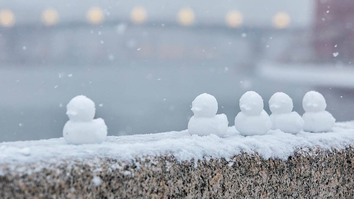    Фото: Дмитрий Белицкий / АГН Москва