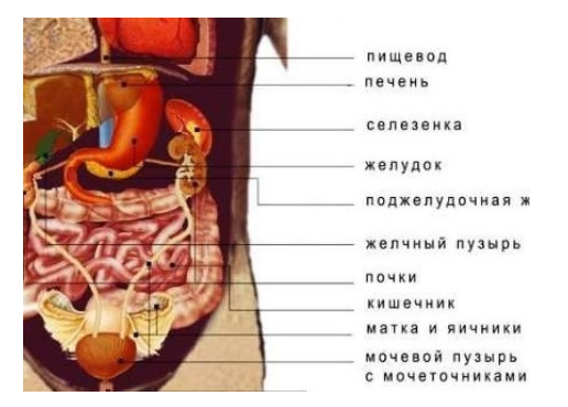 Правильное место каждому
