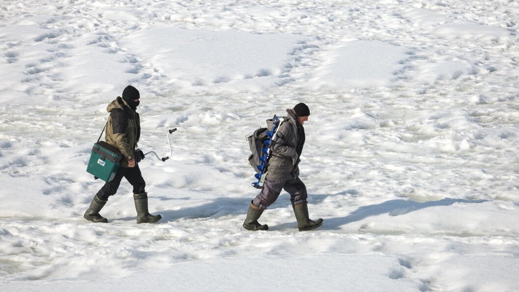    Andrey Titov/Globallookpress