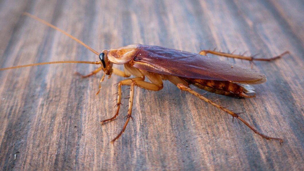    Soeren Stache/dpa/Globallookpress