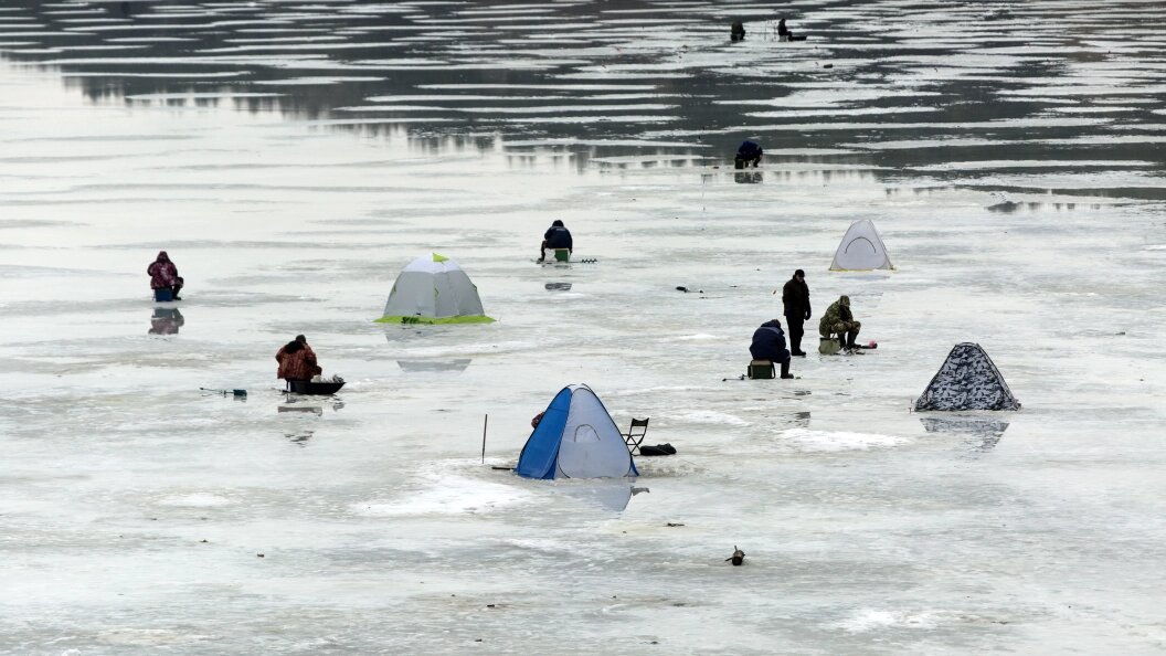    Nikolay Gyngazov/Global Look Press/Globallookpress