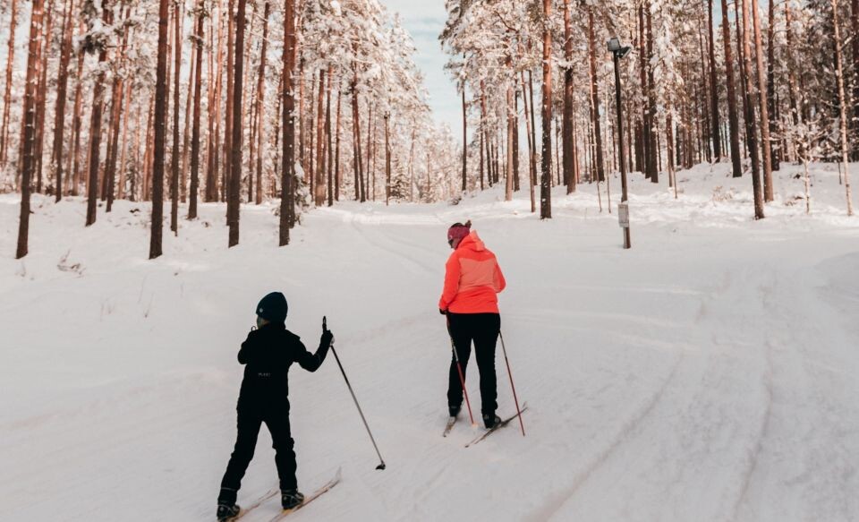    Лыжи. Источник: unsplash.com