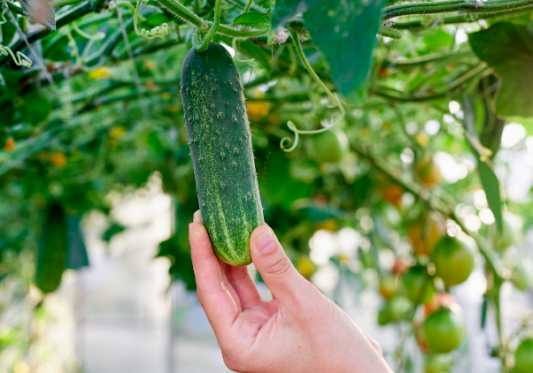 Стоит ли строиться в 2025 году