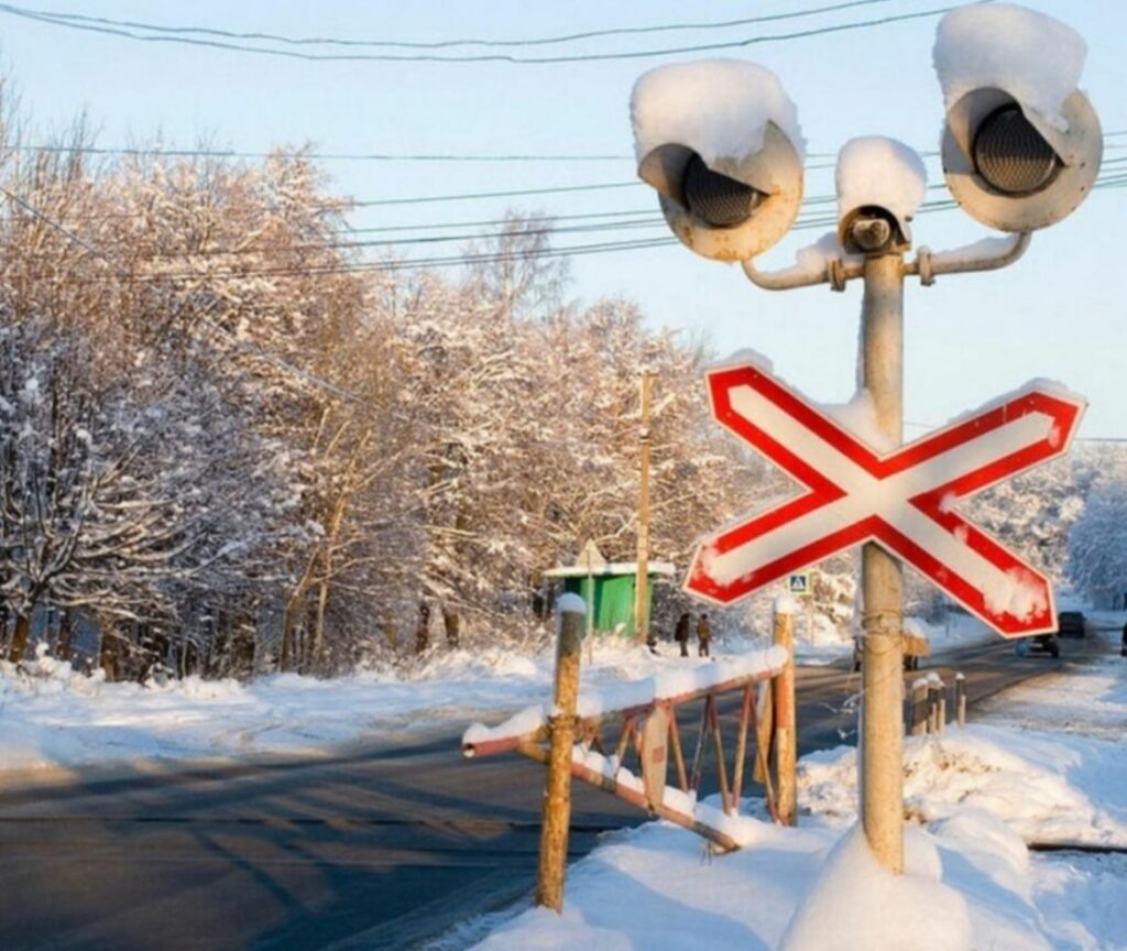    Фото: Пермский муниципальный округ / ТГ Полина Анкушина