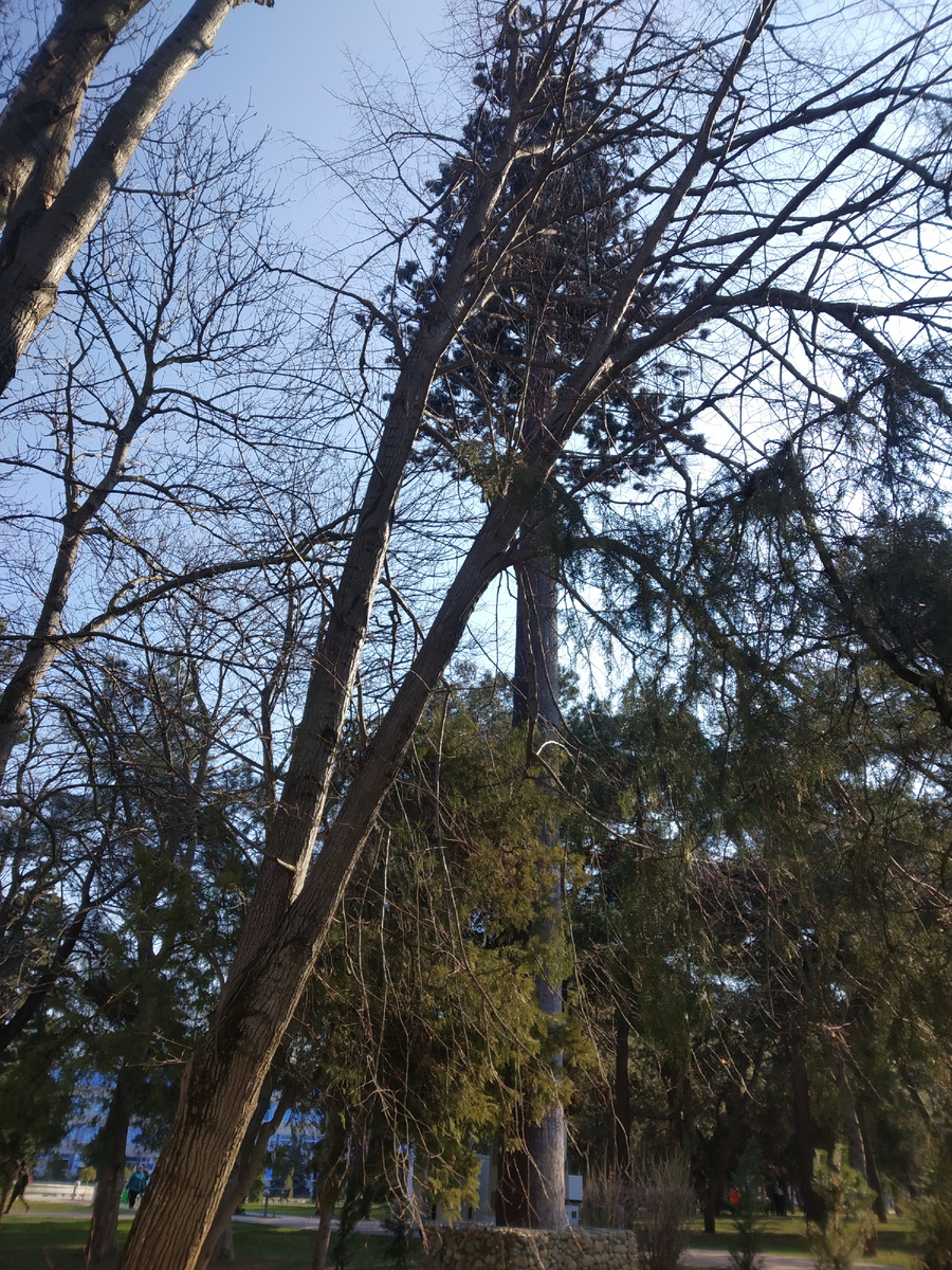 Фото автора публикации