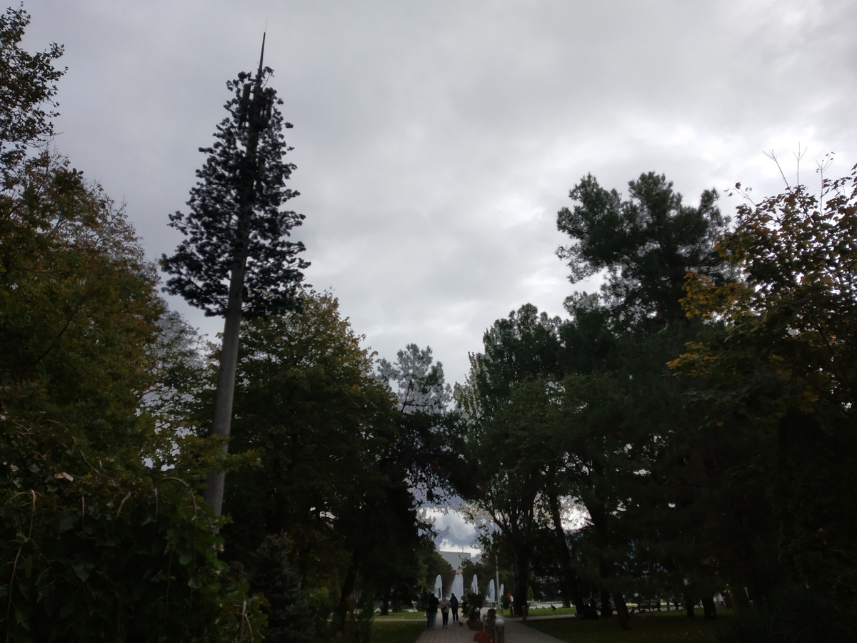 Фото автора публикации