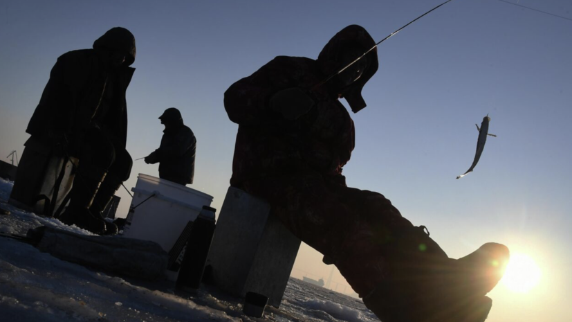   РИА Новости