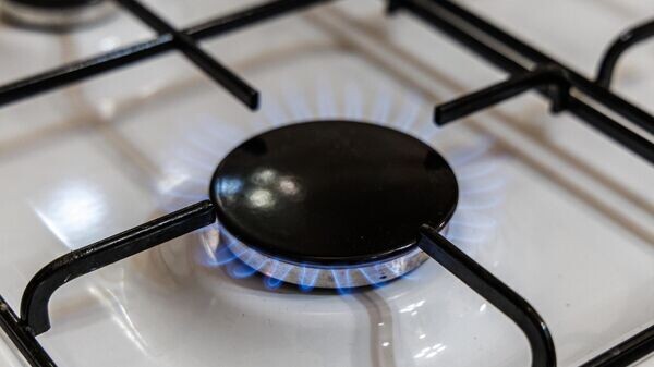    © Sputnik / Артем Кулекин