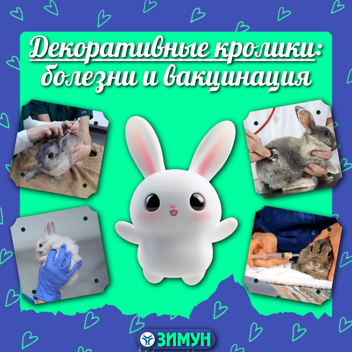 Заставка с кроликами на фоне