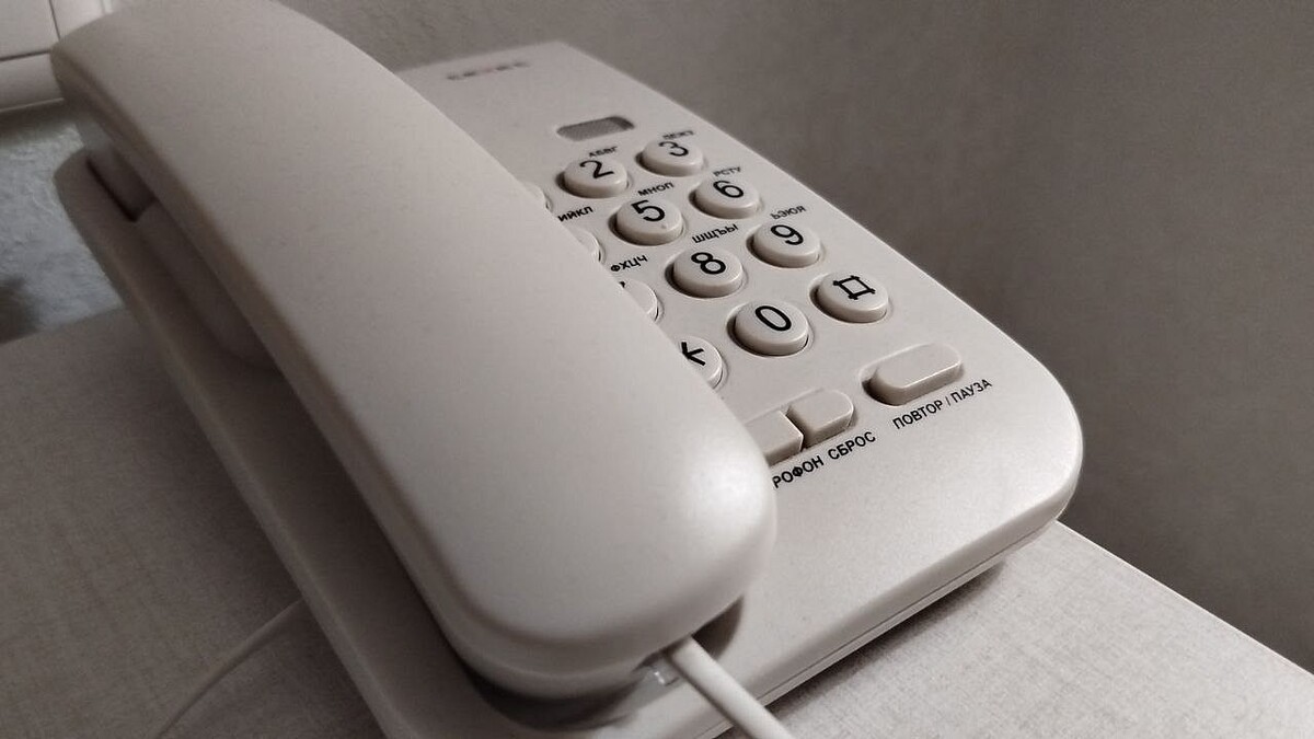    Фото: телеканал «Краснодар»