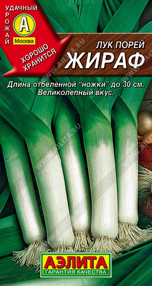 Лук порей Жираф от Аэлиты