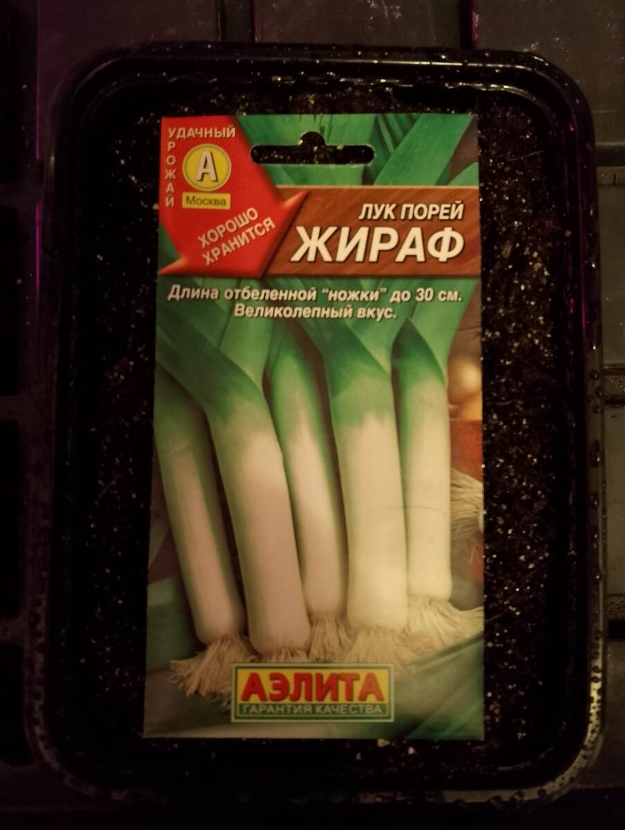 Лук порей Жираф 