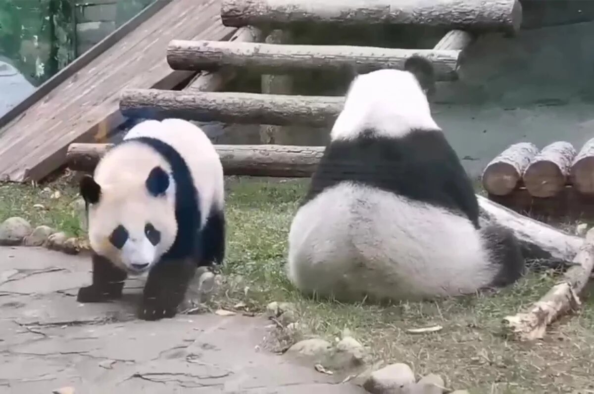    Собянин: зоопарк Москвы вышел на первое место в мире по разнообразию видов