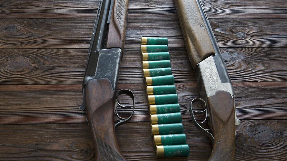    Фото: Nikolay Gyngazov/Global Look Press