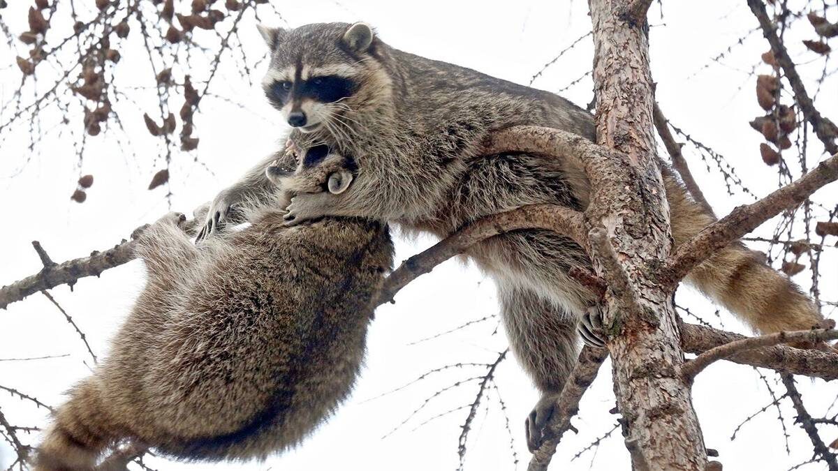    Фото: АГН Москва