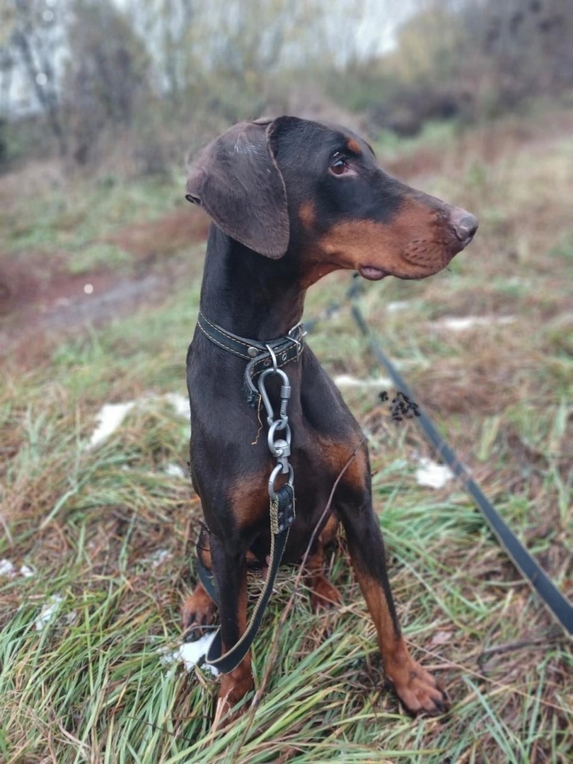 Мысли вслух: Там явно что-то происходит, через секунду присоединюсь