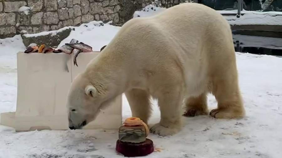 Фото: t.me/Moscowzoo_official