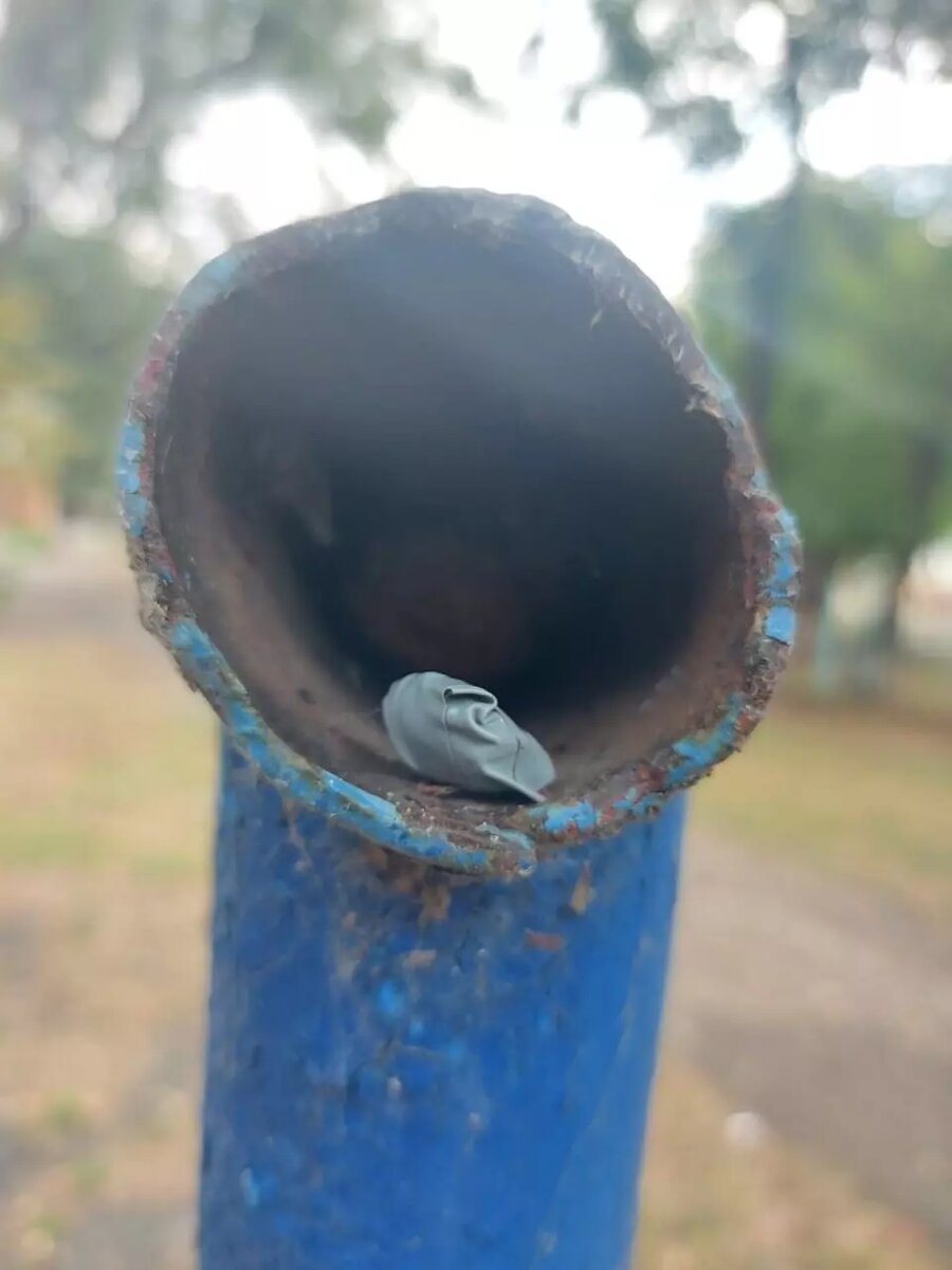     Автор: МВД Ставрополья