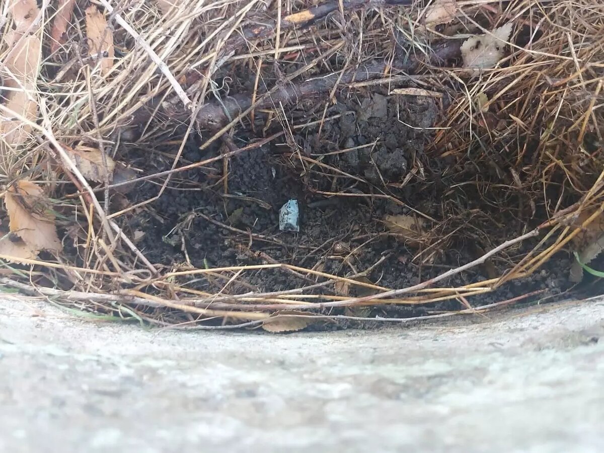     Автор: МВД Ставрополья