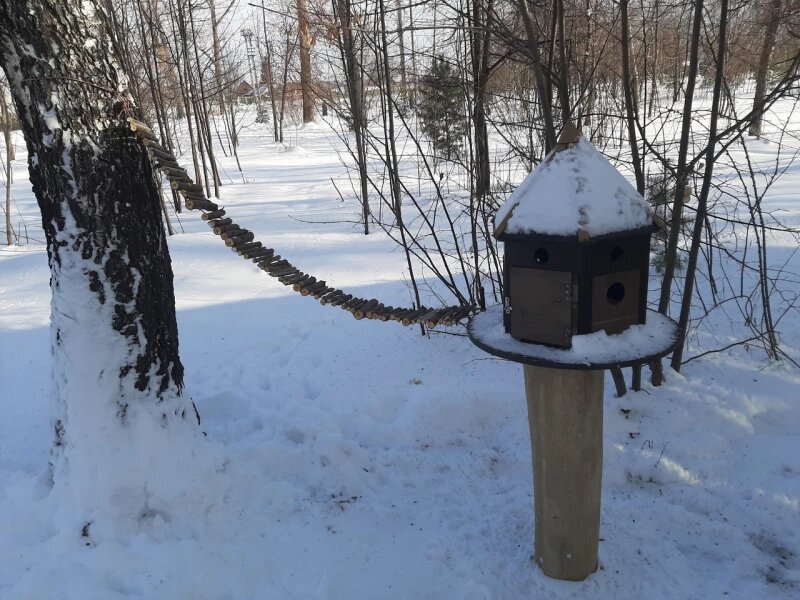 Листайте вправо, чтобы увидеть больше изображений