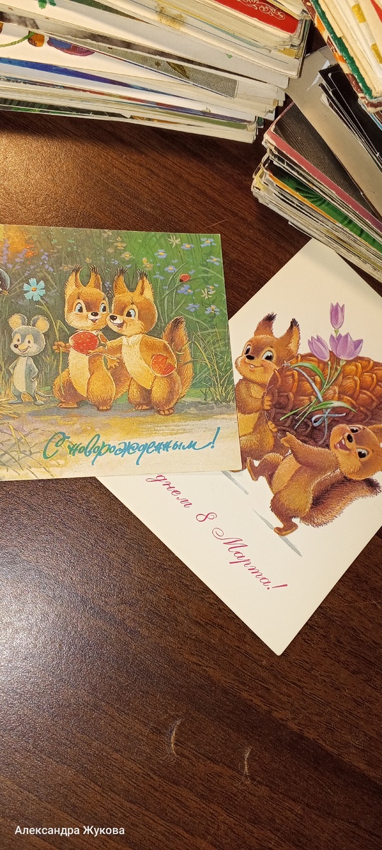 Просто прелестные белочки😊