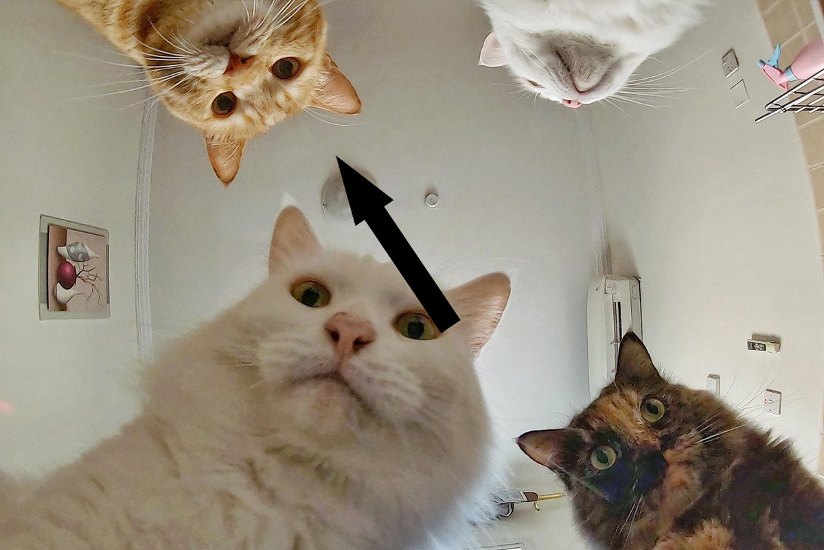    10 глупеньких мемов, которые заставят вас улыбнуться