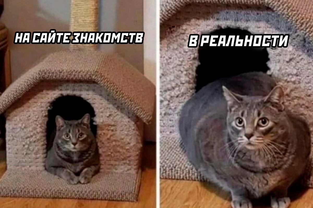    10 глупеньких мемов, которые заставят вас улыбнуться