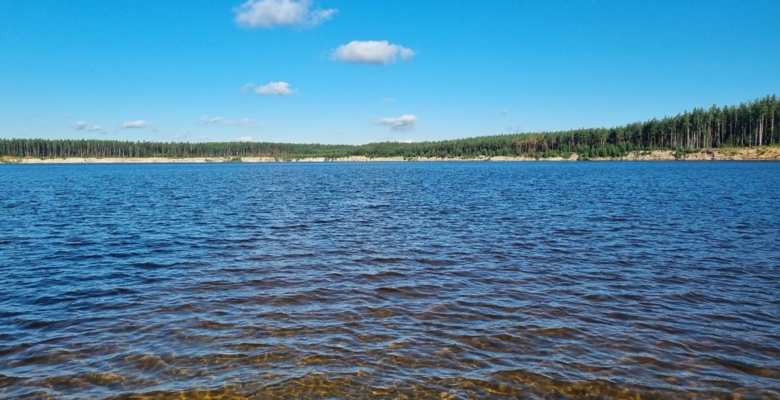    Фото: vk.com/murman33km