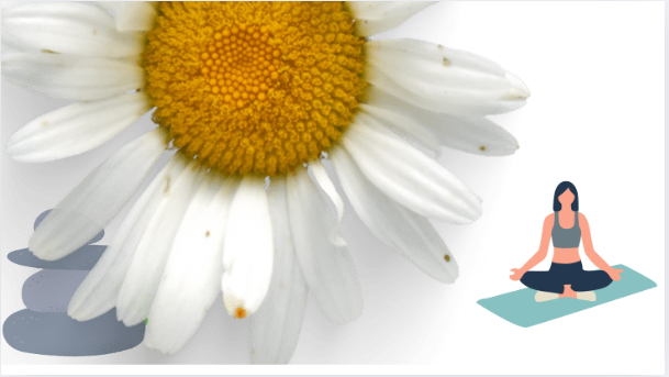 Визуализация: Закрыв глаза, представьте себе спокойное место, будь то пляж, лес или горы