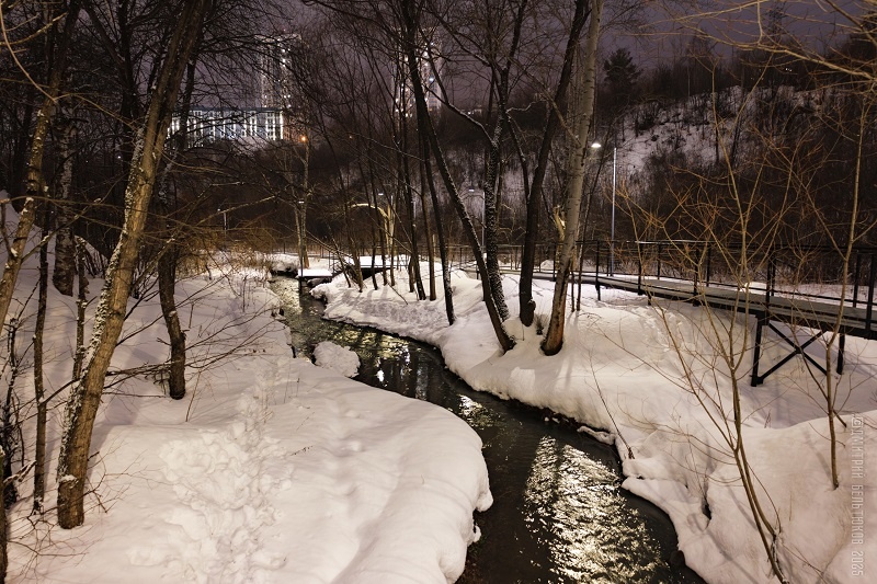 Экотропа в долине реки Егошихи, Пермь. Фото: Дмитрий Бельтюков / ВКонтакте