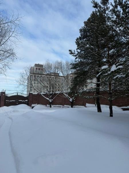 На заднем плане — ЖК, где жил Куандык Бишимбаев. Фото: auction.e-qazyna.kz