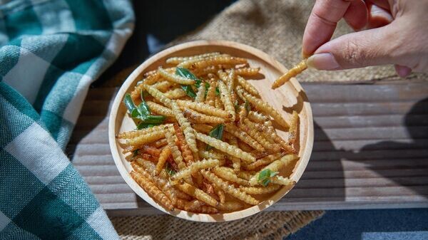    © Krit of Studio OMG