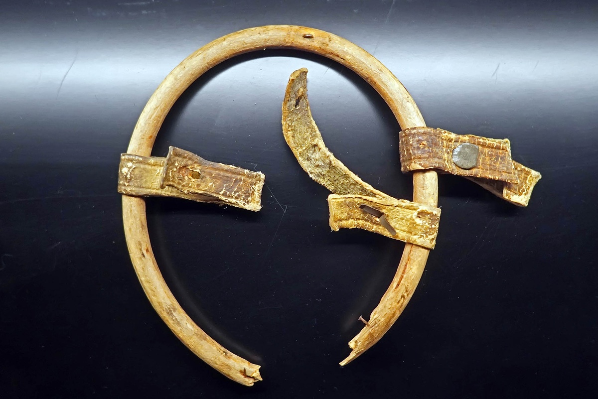    Татьяна Андреева