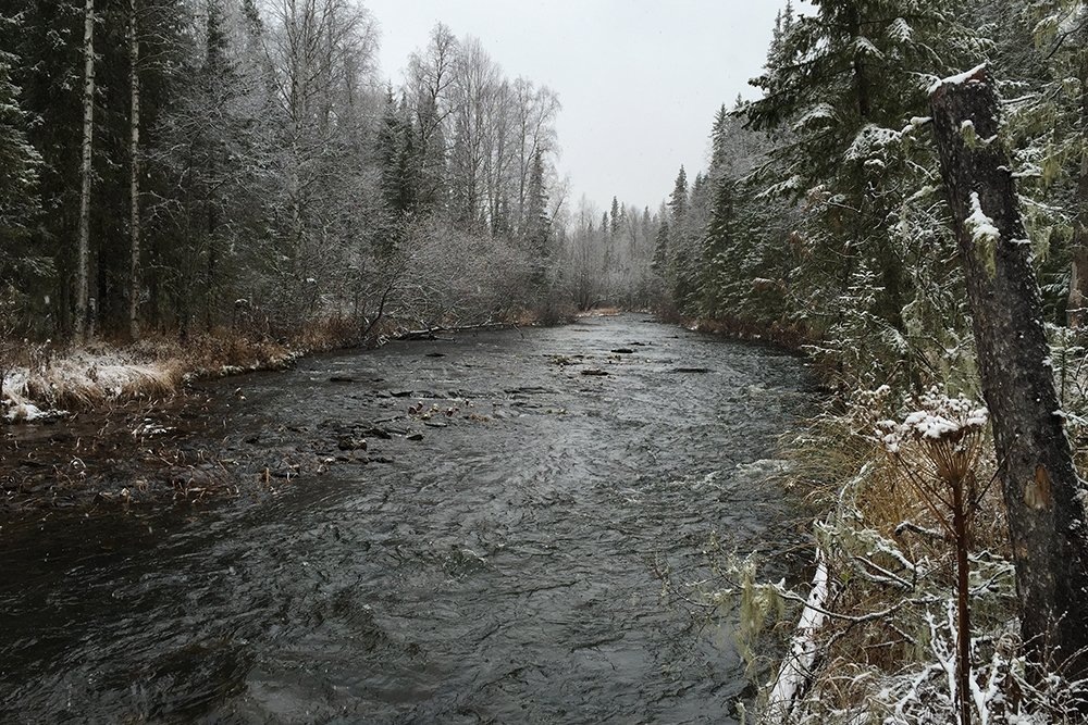    Река Ауспия, по руслу которой продвигались туристы./Futball80/wikimedia.org