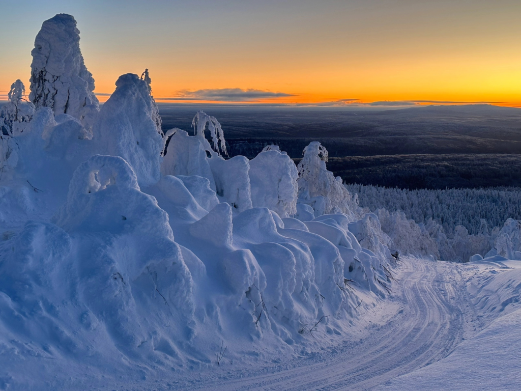    Фото: заповедник «Вишерский» / ВК Ольга Гилёва