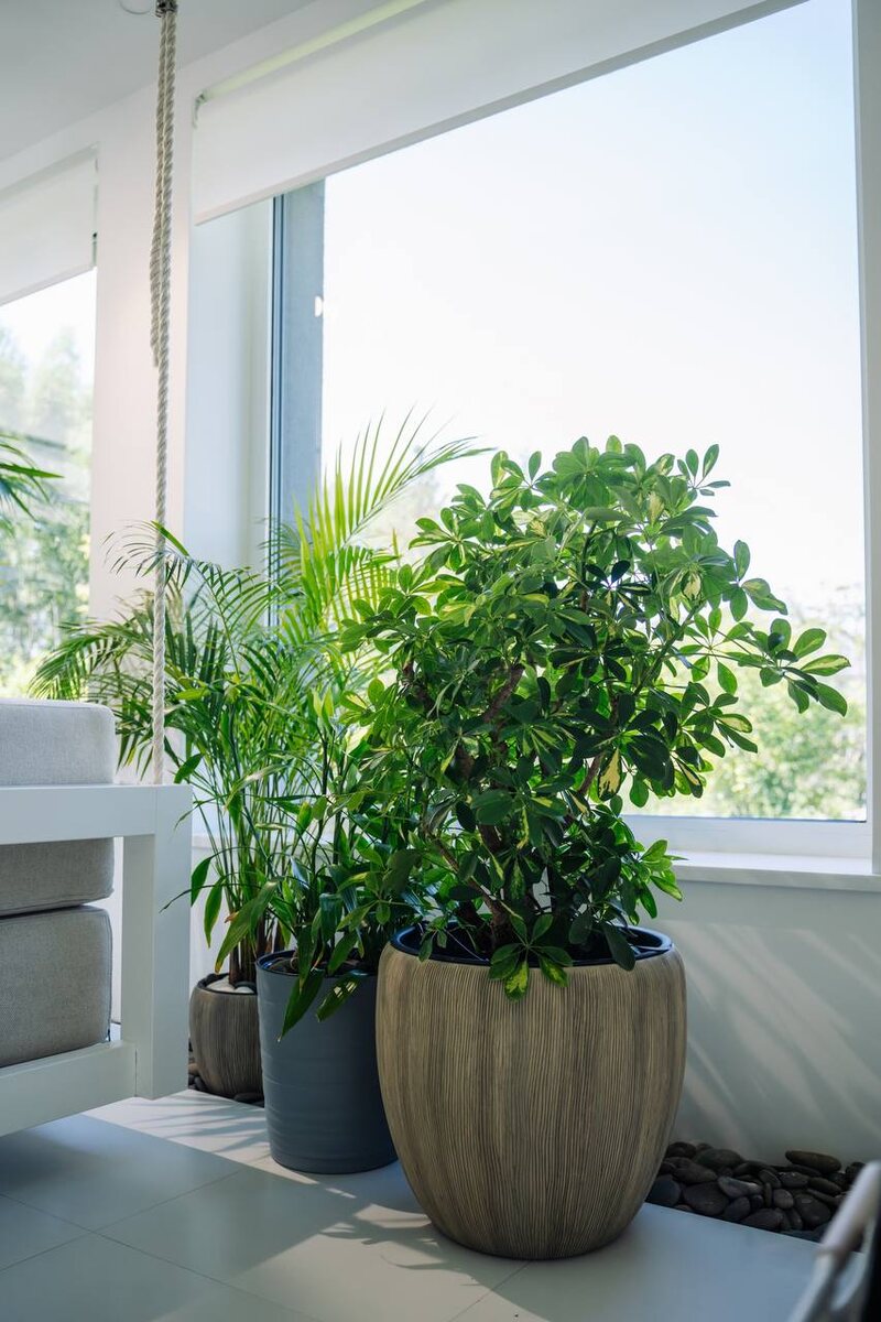 Выполнено декораторами Me Decor