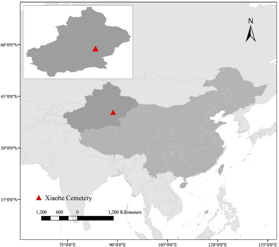   Xiaying Zhang et al. / Journal of Cultural Heritage, 2025