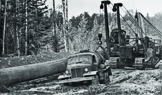 Фото: Яндекс картинки