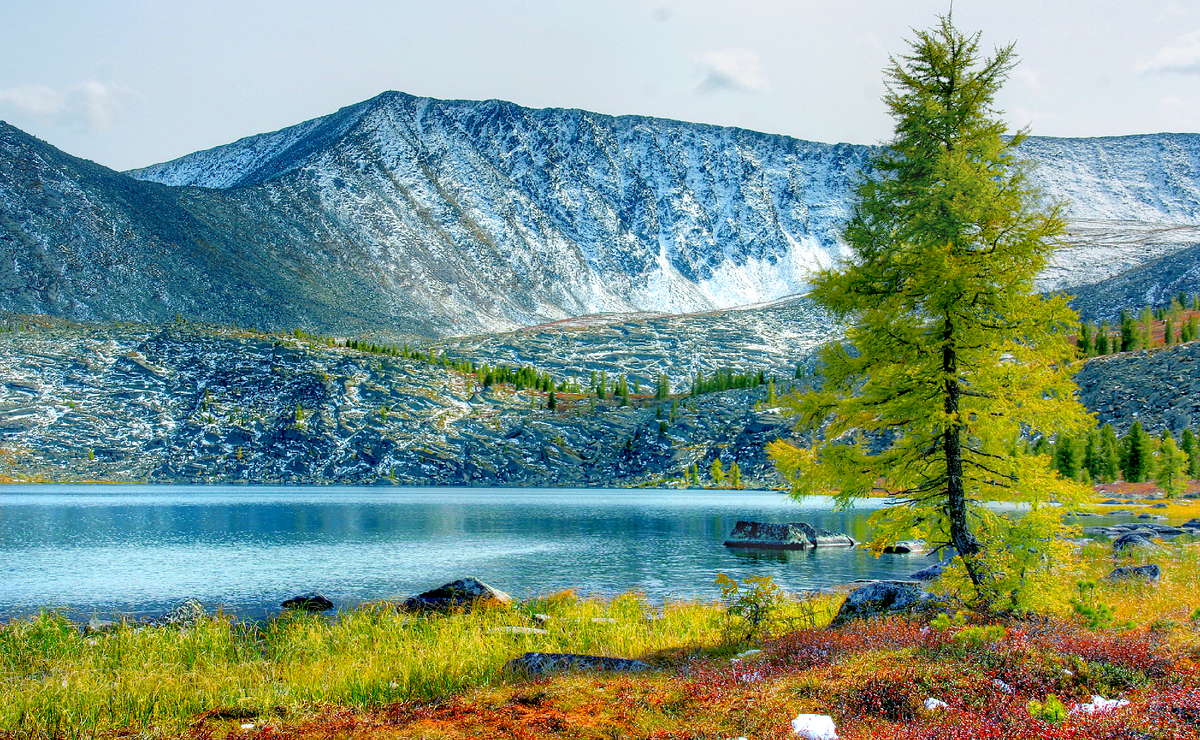 Фотография, стихотворение Василия Глуцкого