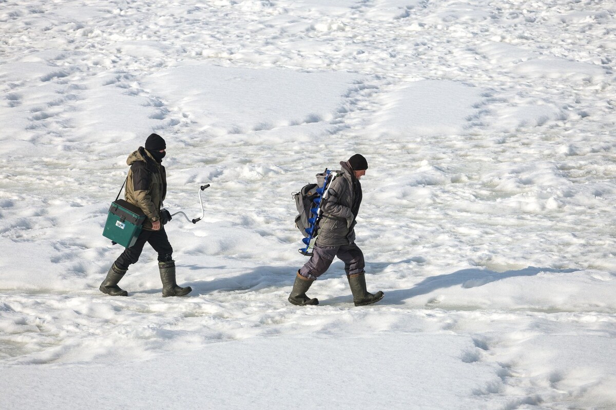     / Источник: © Global Look Press