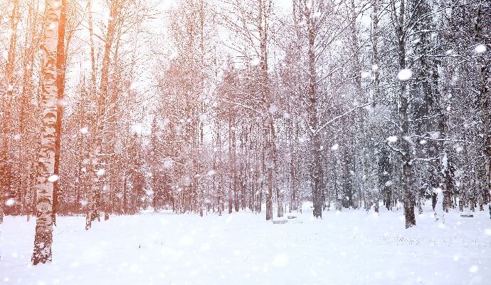    Фото: iStock/alexkich