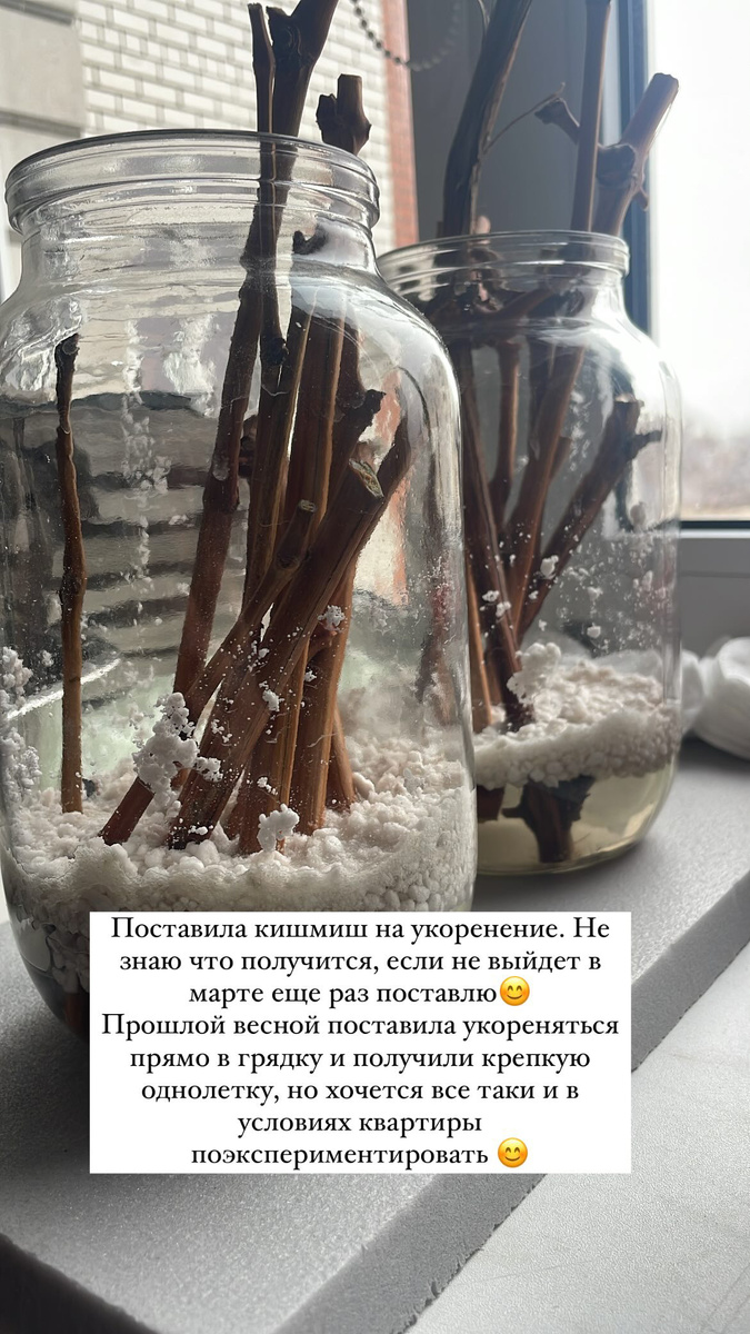 Начало 29.01.25 Хочу знать больше методов, в том числе квартирных👌🏻