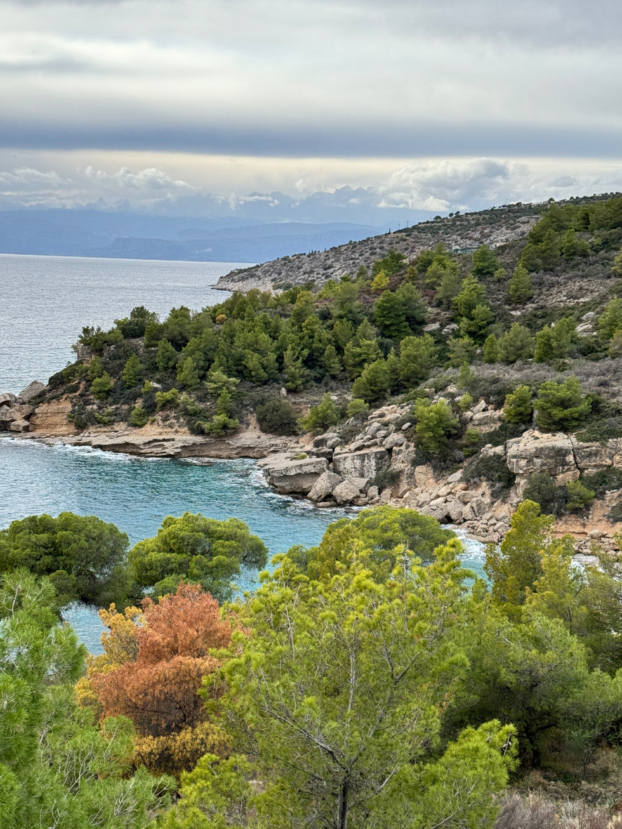 Живописная природа острова в зимнее время года