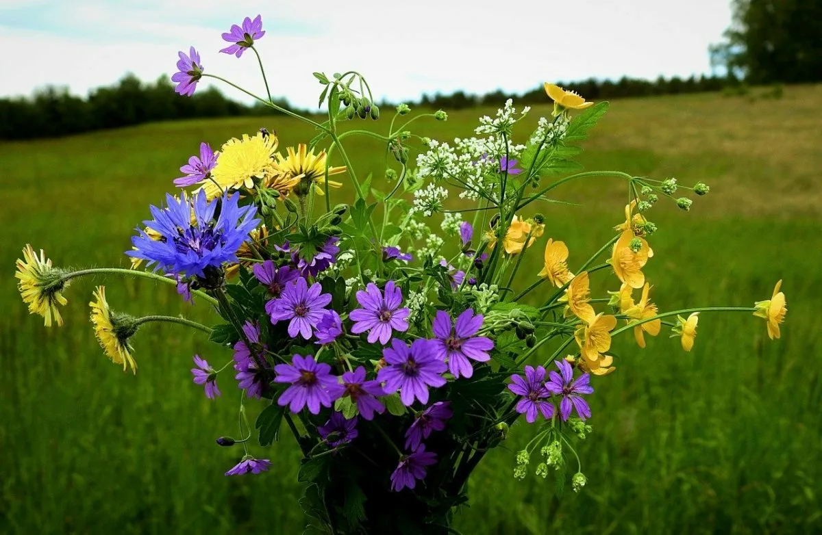 фото использовано для иллюстрации с сайта bibia.ru