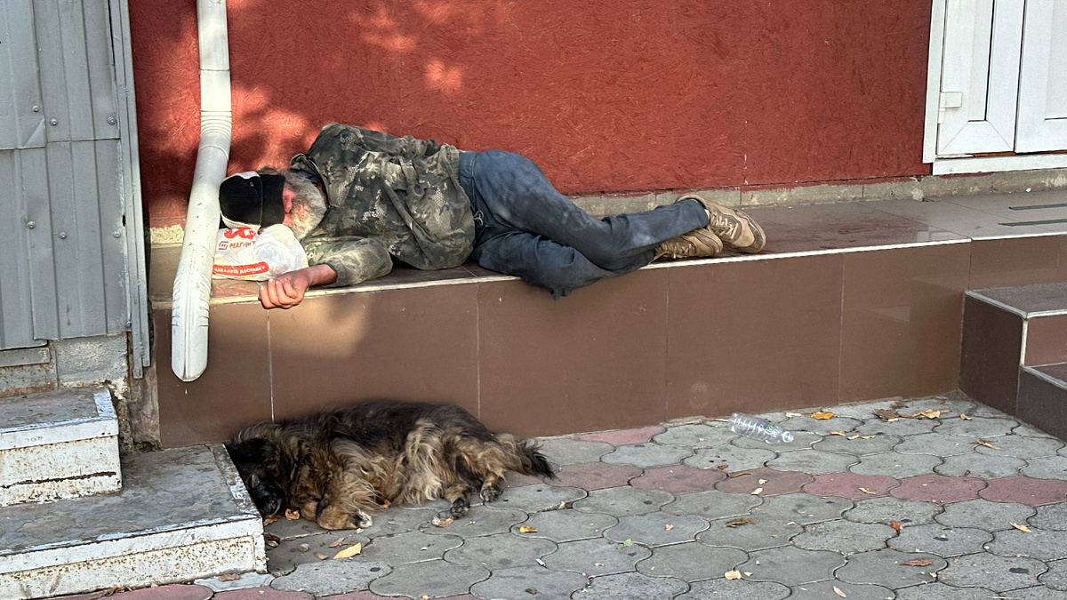 Этого я искала очень долго, как Шарик зайца в мультике) 